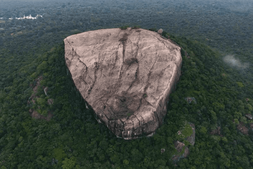 Pidurangala Rock at sunrise