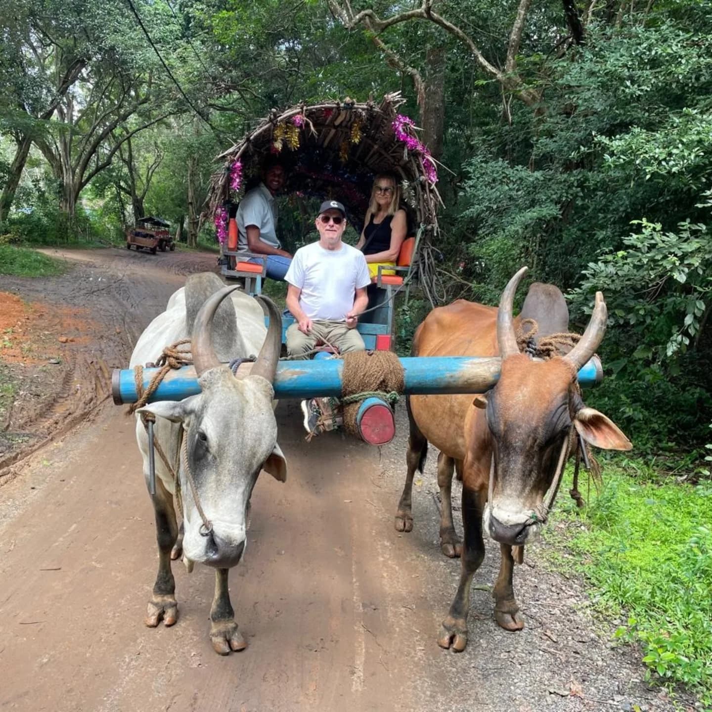 Village tour through a traditional Sri Lankan village